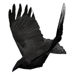 npc_crow
