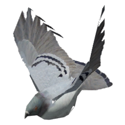 npc_pigeon